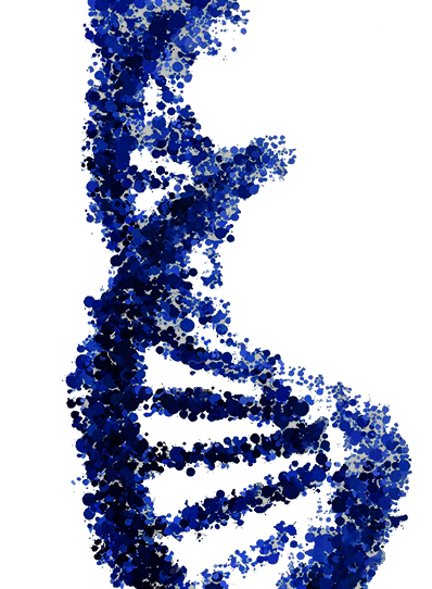DNA structure